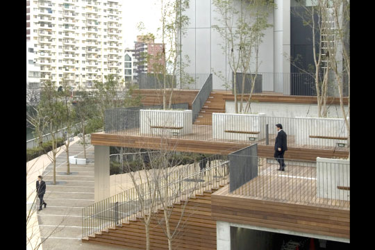 桜の森（目黒川沿い）