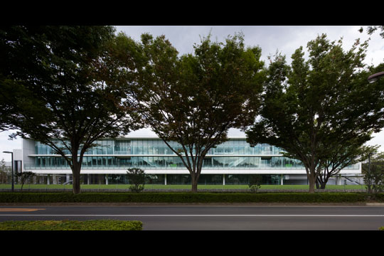 前面道路のケヤキ並木に呼応する静かな佇まい