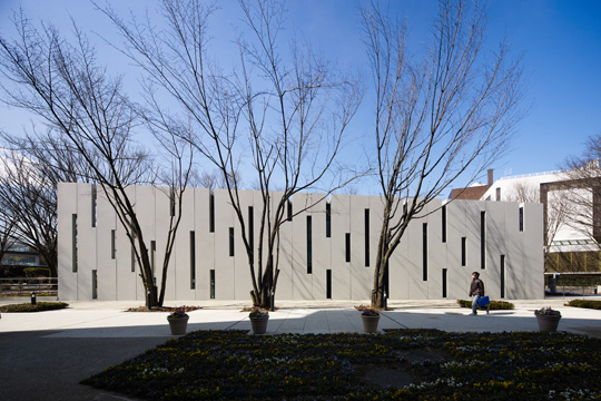 スリットパターンの外壁に既存の樹木が影をおとす　© 阿野 太一