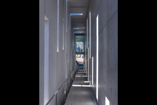 スリットから柔らかな光が差し込むアプローチ　© 阿野 太一