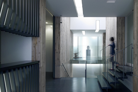 トップライトから光がふりそそぐエントランス　© 阿野 太一