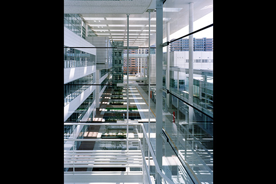 交流プラザ2：重層する動線　© ナトリ光房