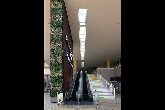 大庇に覆われたテラスへの階段