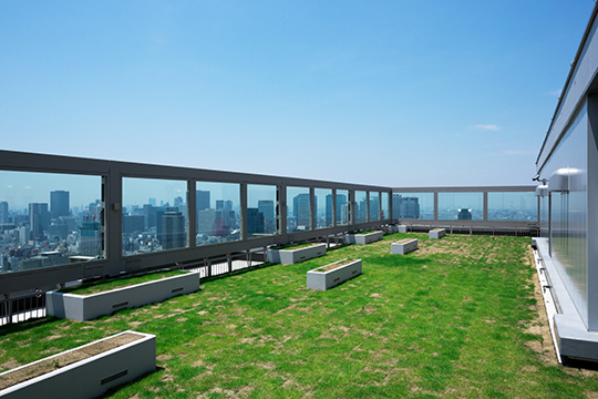 スカイガーデン（屋上緑化）
