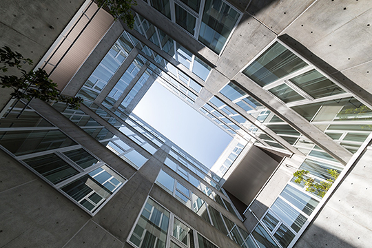 ステップガーデン見上げ　©ヴィブラフォト