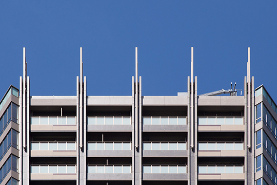 ティアラ　©伸和 薮内