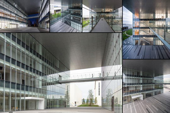 美のゲート　©クドウフォト