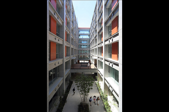 自然環境を引込み、人と緑のネットワークをつなげる中庭　©近代建築社（トロロスタジオ　谷川ヒロシ）