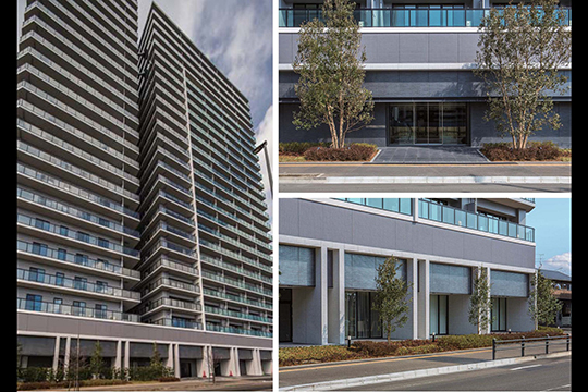 リズミカルなマリオンや植栽による魅力ある街路空間の形成　©Peter Powles Photography