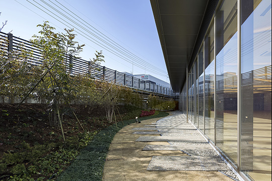 前庭　©三井笑奈