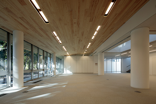 木漏れ日のワークプレイス　　©鳥村鋼一