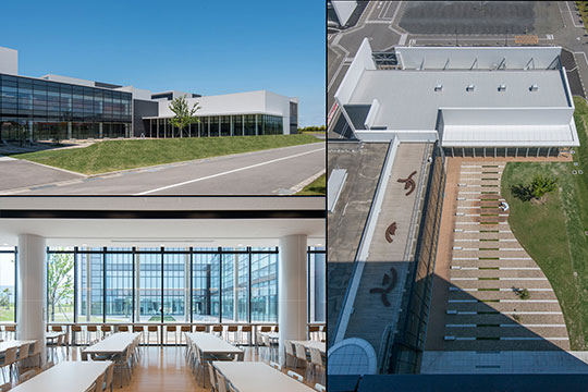 中庭廻り　©合田建築写真事務所