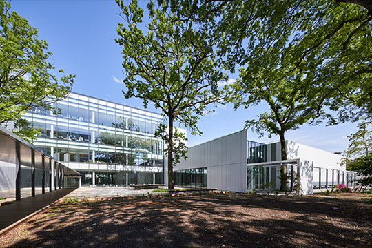 既存樹木を活かした配棟計画。建物ボリュームの分節により、森へのインパクトを低減。 ©吉村 昌也