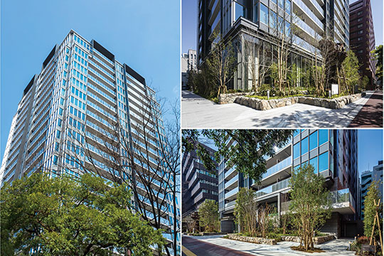 明治通りへの潤いの創出