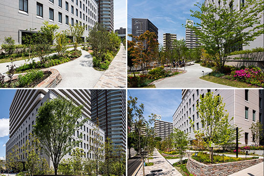 ひとと医療、まちをつなぐ地域の庭 ©(株)伸和