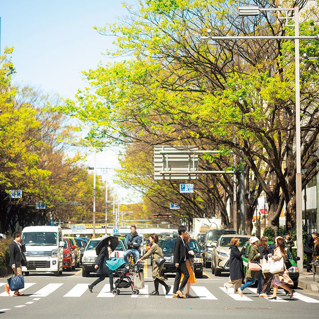 青山に魅せられる