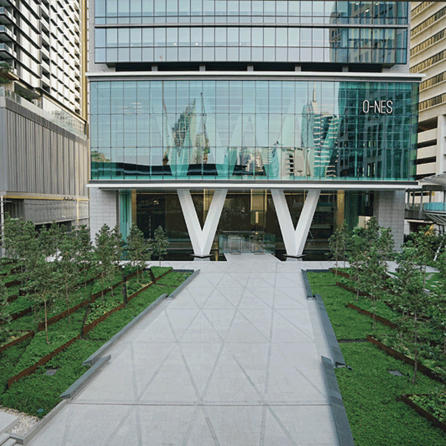 緑の庭を歩くアプローチ