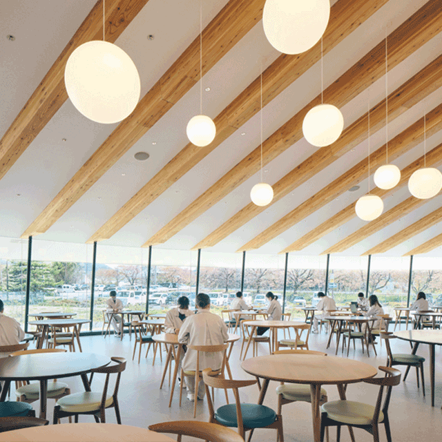 大きな木の下で