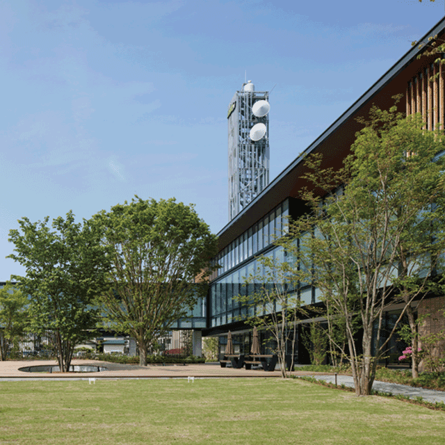 森の中のメディアステーション