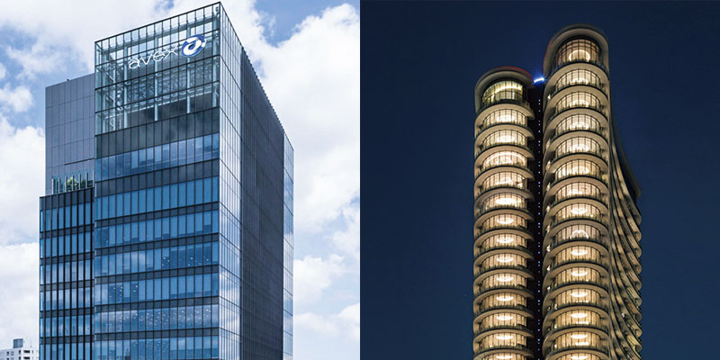 青山に魅せられる