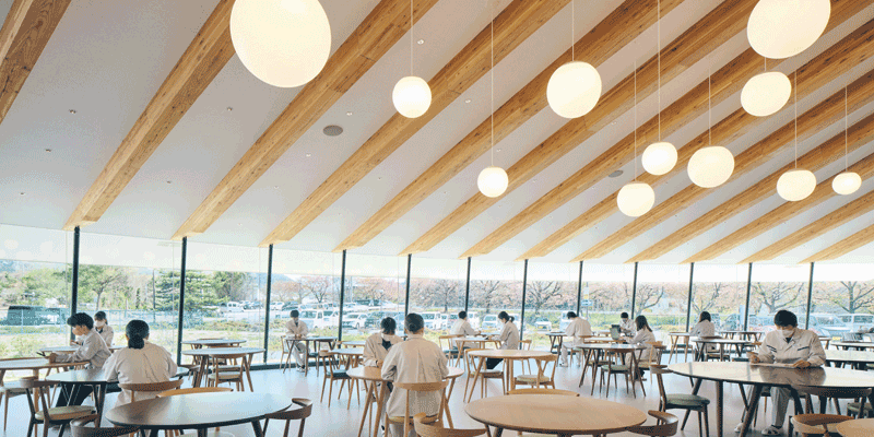 大きな木の下で